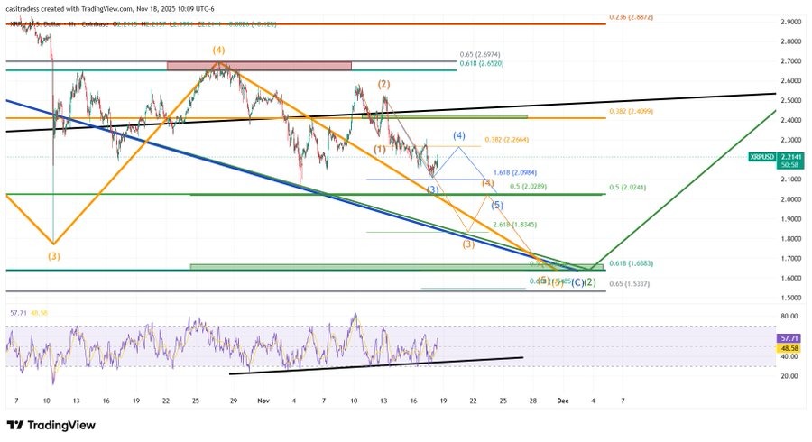 casitrades xrp analyzer