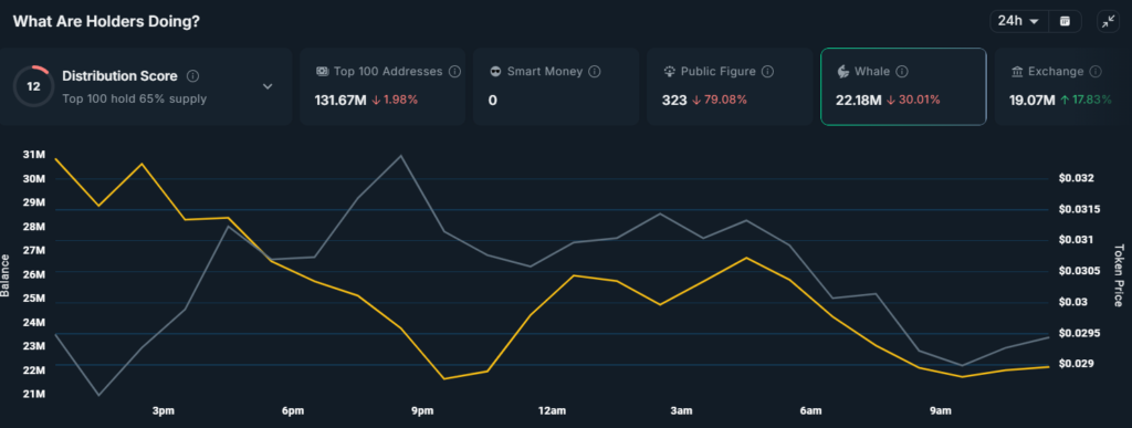 monad whale activity