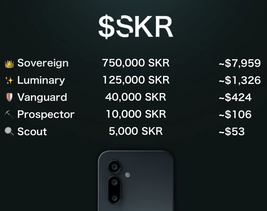 skr crypto