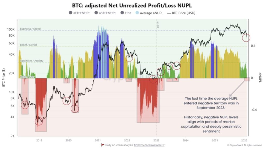 bitcoin nupl